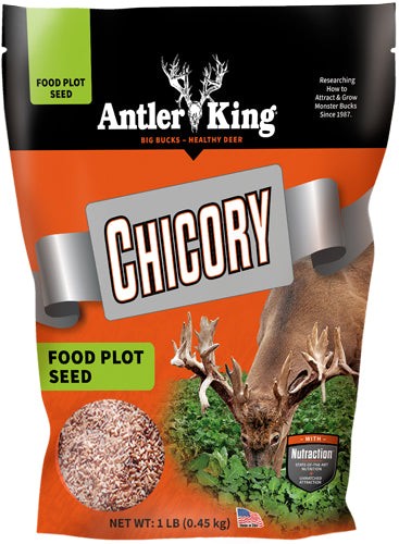 Antler King Chicory 1# BAG Perennial 1/4 Acre