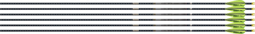 Easton 4MM EMJ Match Grade 340 6-pack W/ 3" AAE Hybrid Vanes<