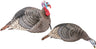 HS Strut Turkey Decoy Combo Hen/jake Strut-lite