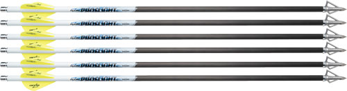 Excalibur Arrow Proflight 18" 6PK (fits Matrix)