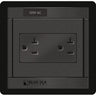 Blue Sea 1479 360 Panel - 120V AC DUal Outlet
