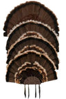 Allen EZ Mount Stacked Turkey FAN Mount Holds 5 Fans
