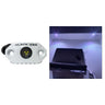 Black Oak Rock Accent Light - White LEDs - White Housing