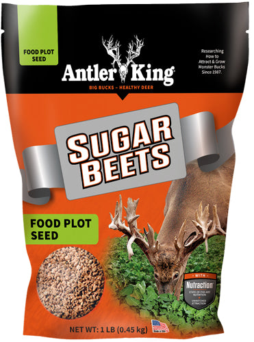 Antler King Sugar Beets 1# BAG Annual 1/8 Acre