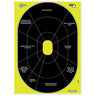 Allen EZ AIM 12"x18" HG Trainer 8PK