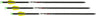 Wicked Ridge Xbow Arrow Xx75 20" Aluminum Alpha Brite 3PK