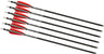 Tenpoint Xbow Arrow 16" Evo-x Center Punch Alpha Nock HP 6PK