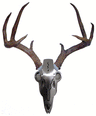 Do-all Horn Mounting KIT Iron Buck