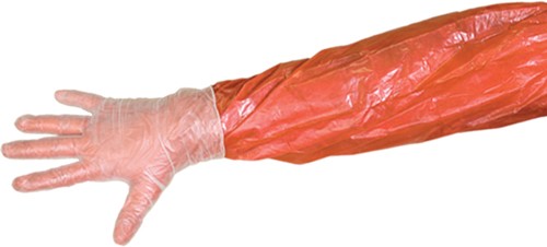 Muddy Field Dressing Glove KIT 4-pack W/ Moist Towlettes