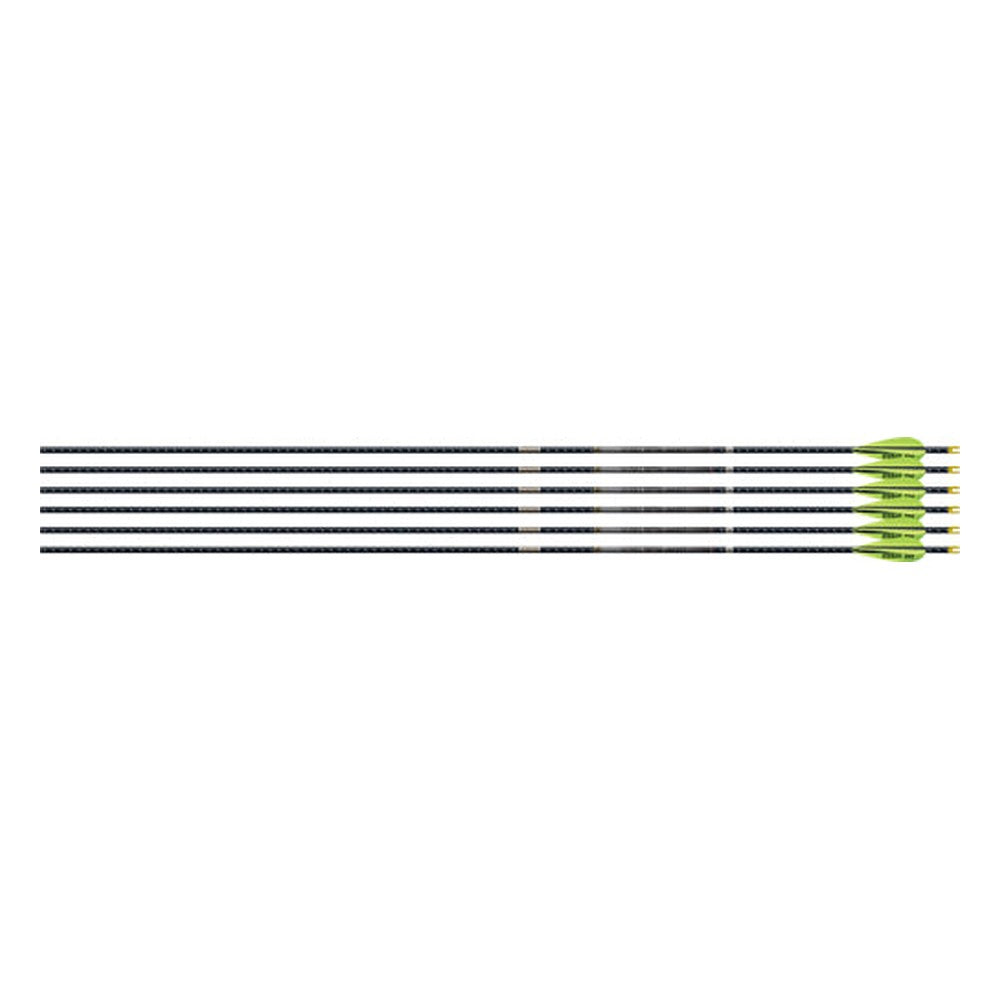 Easton 4MM EMJ Match Grade 340 6-pack W/ 3" AAE Hybrid Vanes<