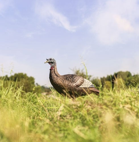 Flextone Thunder Chick Upright HEN Decoy W/stake
