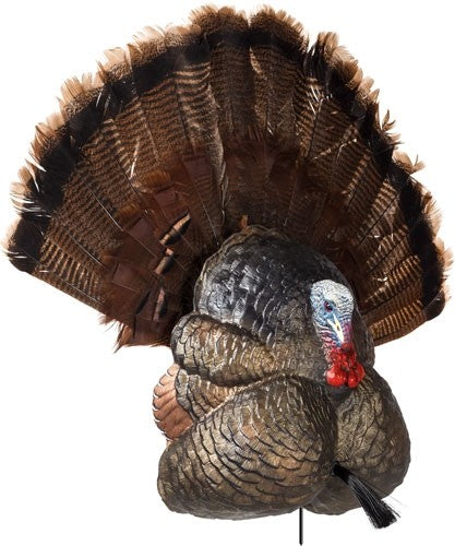 Flextone Thunder Creeper Strutter Decoy W/ Folding FAN