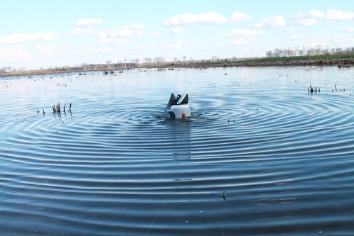 Mojo Butt UP Mallard Rippler Decoy